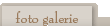 foto galerie